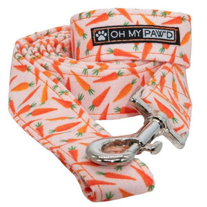 Ready To Ship Dog Leash