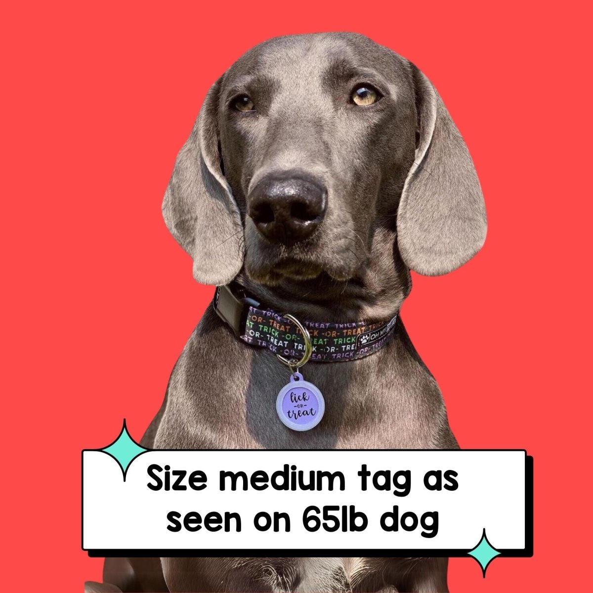 100% That Bitch Pet ID Tag - Oh My Paw'd