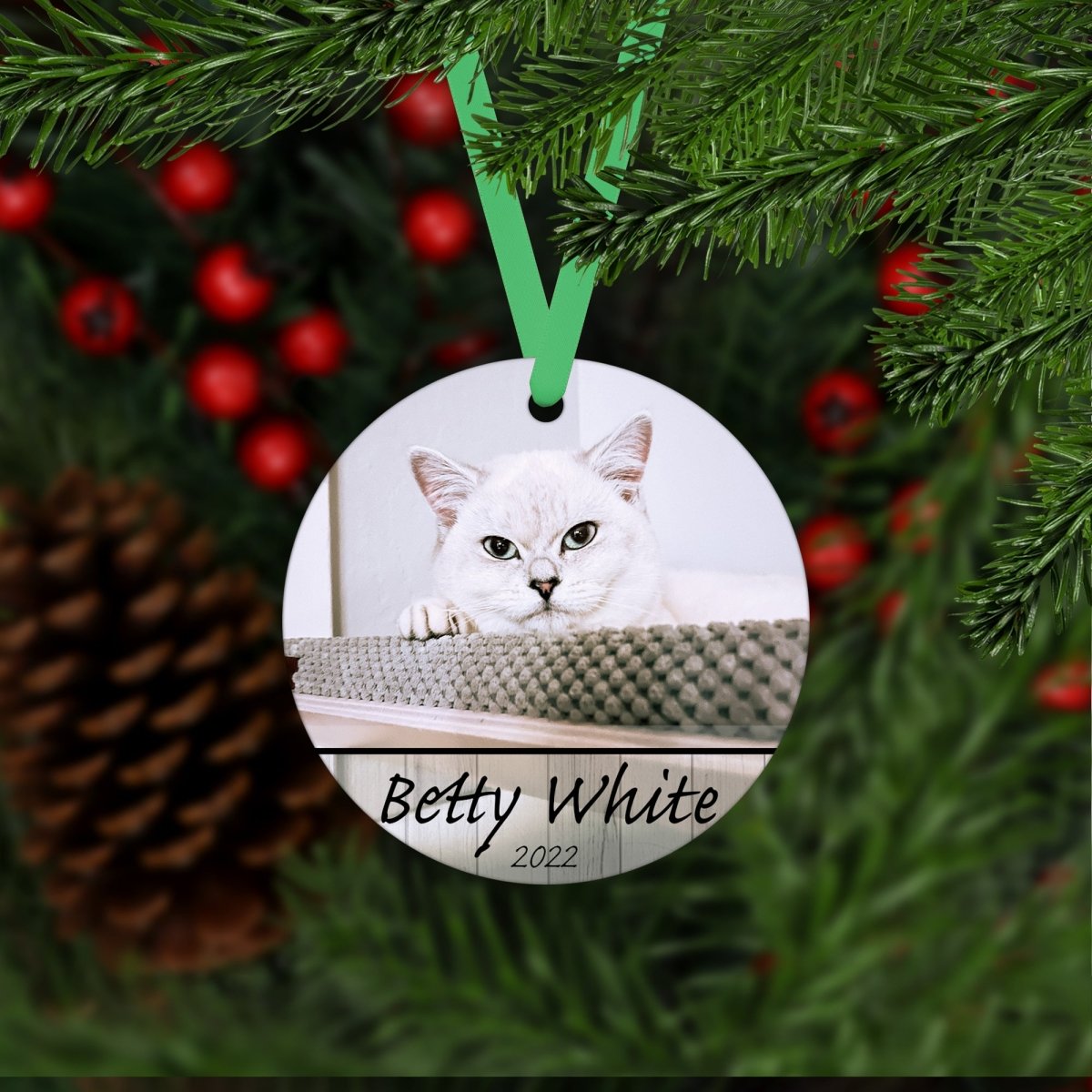 Any Pet Photo Ornament - Oh My Paw'd
