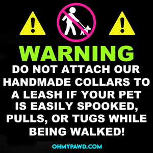 Daisy Dog Collar - Oh My Paw'd