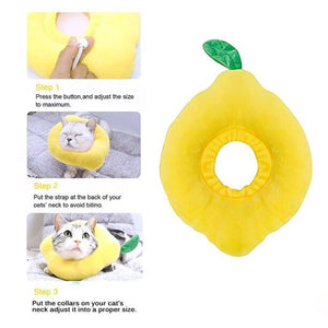 Lemon Recovery Collar - Oh My Paw'd