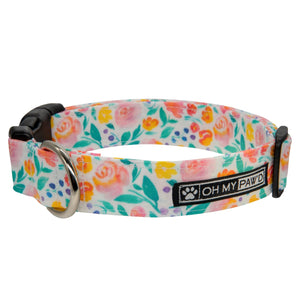 R-Z Ready To Ship Collars - Oh My Paw'd