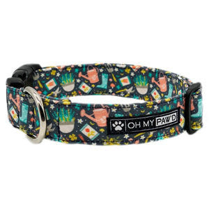 R-Z Ready To Ship Collars - Oh My Paw'd