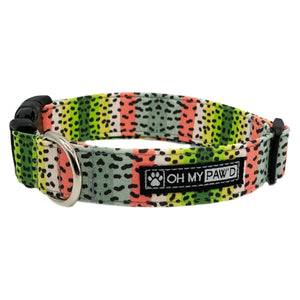 Rainbow Trout Dog Collar - Oh My Paw'd