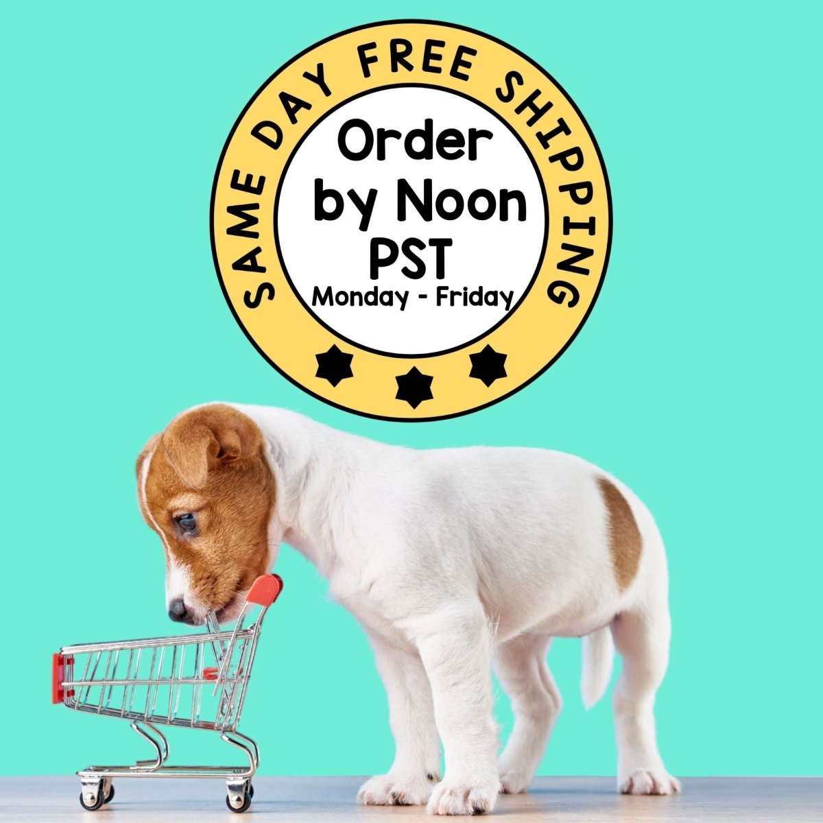 Send Noods Pet ID Tag - Oh My Paw'd