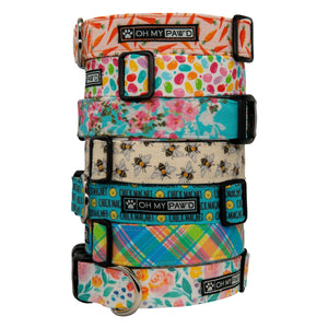 Spring Floral Dog Collar - Oh My Paw'd