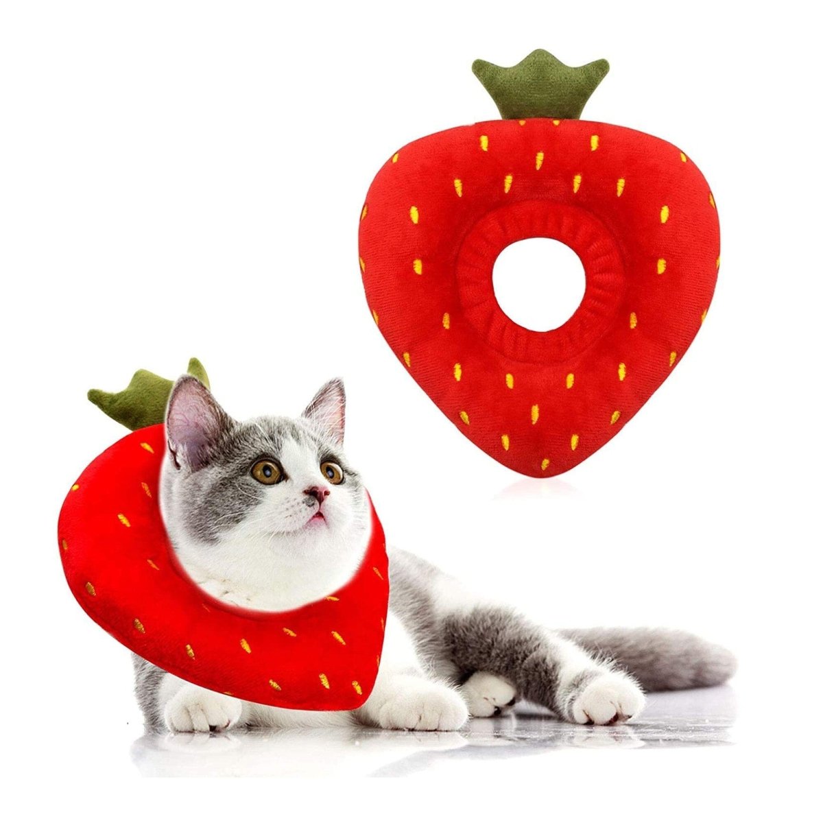 Strawberry Recovery Collar - Oh My Paw&#39;d