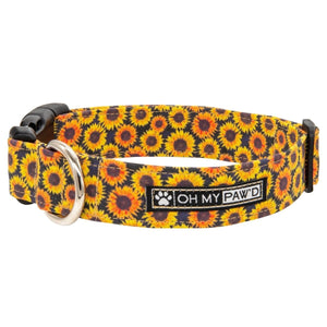 Sunflower Dog Collar - Oh My Paw'd