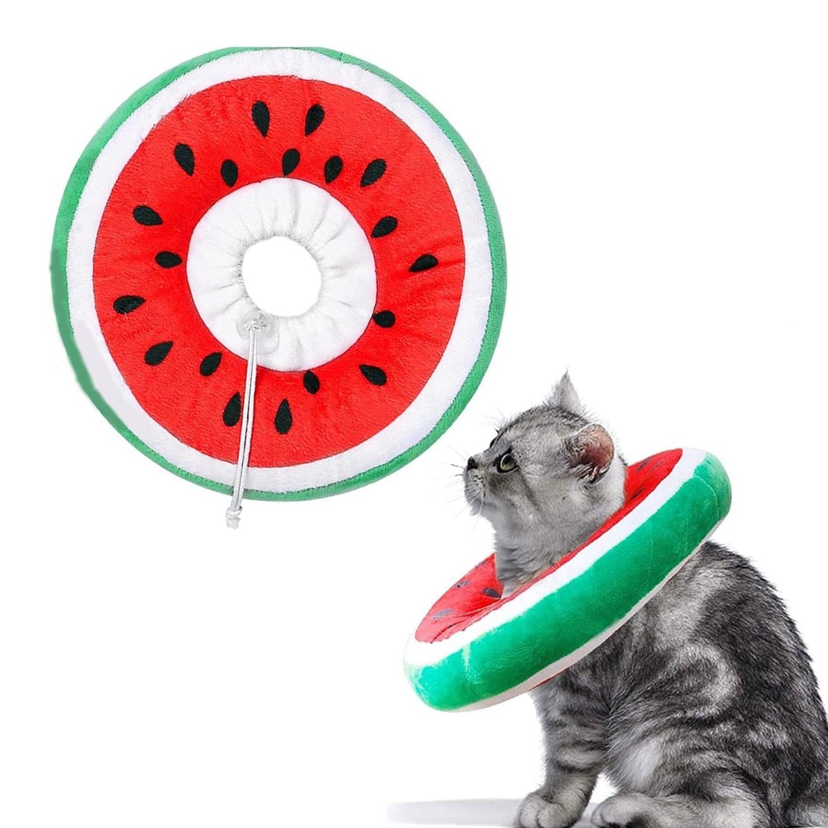 Watermelon Recovery Collar - Oh My Paw'd