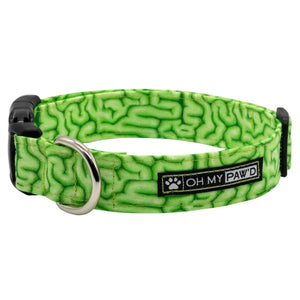 Zombie Brains Cat Collar - Oh My Paw'd